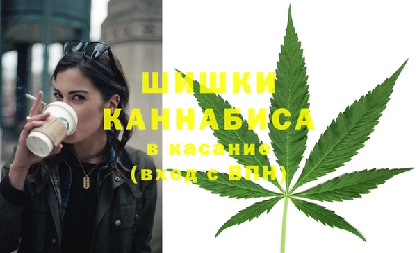 ГАЛЛЮЦИНОГЕННЫЕ ГРИБЫ Вяземский
