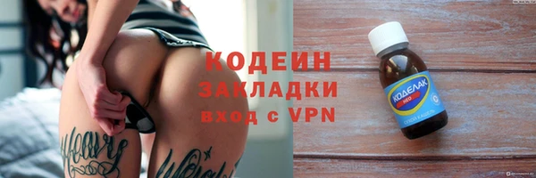 ГАЛЛЮЦИНОГЕННЫЕ ГРИБЫ Вяземский
