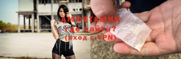 ГАЛЛЮЦИНОГЕННЫЕ ГРИБЫ Вяземский