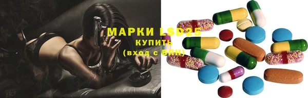 ГАЛЛЮЦИНОГЕННЫЕ ГРИБЫ Вяземский