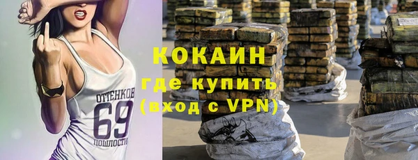 ГАЛЛЮЦИНОГЕННЫЕ ГРИБЫ Вяземский