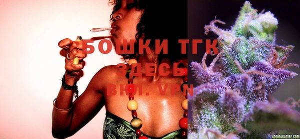 ГАЛЛЮЦИНОГЕННЫЕ ГРИБЫ Вяземский