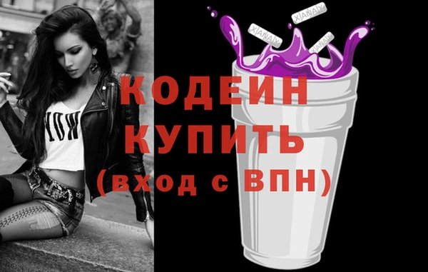 ГАЛЛЮЦИНОГЕННЫЕ ГРИБЫ Вяземский